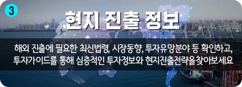 3단계) 현지 진출 정보