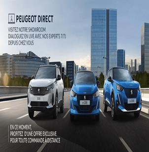 https://i1.wp.com/www.automotive-marketing.fr/wp-content/uploads/2020/11/Peugeot-Direct-le-sit.png?resize=1024%2C452