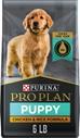 PURINA PRO PLAN High Protein Chicken & Rice Formula Dry Puppy Food, 6-lb bag - Chewy.com