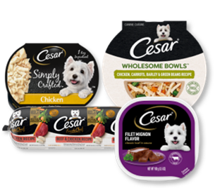 collection of Cesar Simply Crafted, Cesar Wholesome Bowls and Cesar Home Delights dog food containers