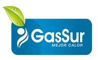 GAS SUR S.A. | Guía Chile Energía