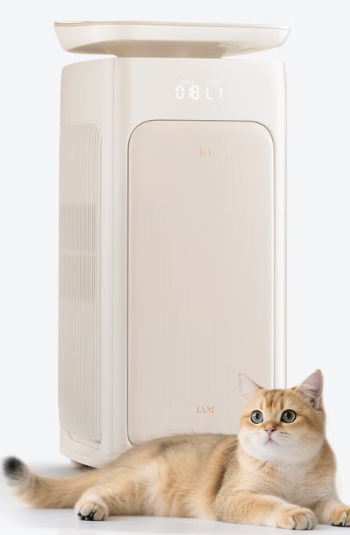 그림입니다.원본 그림의 이름: CLP0001a834000a.bmp원본 그림의 크기: 가로 350pixel, 세로 535pixel