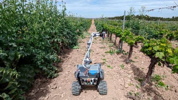 Telef&oacute;nica Smart Agro - Cuadernos de Transformaci&oacute;n 2025 - Telef&oacute;nica