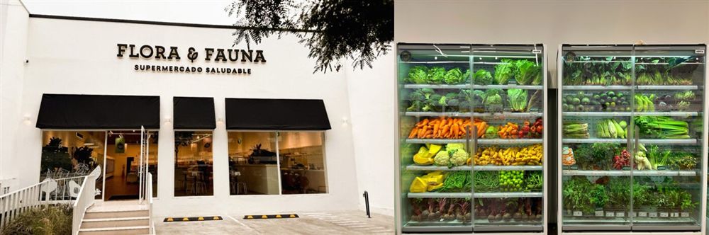 그림입니다.  원본 그림의 이름: Flora Fauna.jpg  원본 그림의 크기: 가로 1497pixel, 세로 498pixel