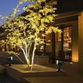 Spotlights for Stunning Outdoor Spaces &ndash; Dazuma