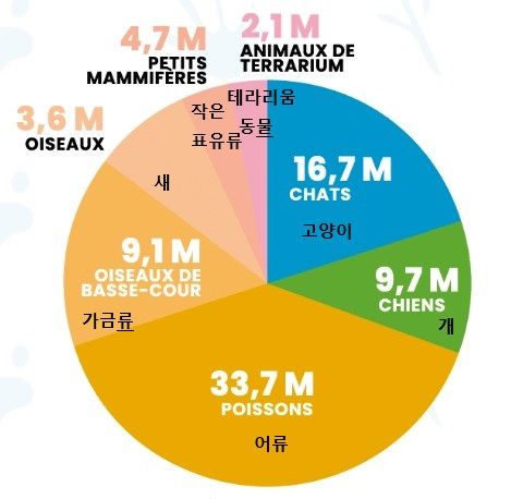 그림입니다.  원본 그림의 이름: 프랑스 반려동물 현황 .jpg  원본 그림의 크기: 가로 469pixel, 세로 458pixel